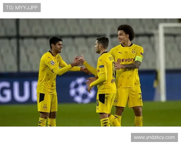 赵vv德甲球队:赵vv与德甲球队的关系与可能性分析